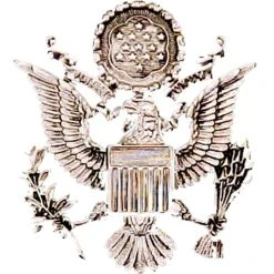 Best reviews of 😉 Other Brands Air Force Cap Device, Officer Female ⌛