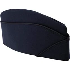 Best reviews of 🧨 DLATS Air Force Men's Enlisted Flight Cap ⌛