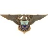 New 🥰 Ira Green, Inc Air Force Officer Inter-American Academy Badge Non-Subdued, Pin-on, Regular Size 🧨 -Deals military Store unnamed file 314