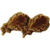 Best deal ⌛ Other Brands Bronze Two Oak Leaf Cluster Device ❤️