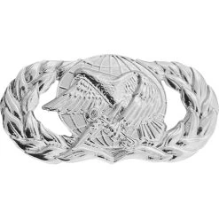 Buy ✨ Vanguard Air Force Basic Supply And Fuels Badge, Mirror Finish, Regular Size ⌛