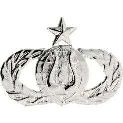 Cheap ✨ Other Brands Air Force Senior Band Badge, Mirror Finish, Regular Size 👏