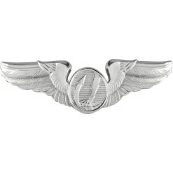 Budget ✨ Other Brands Air Force Basic Remotely Piloted Aircraft (RPA) Badge, Mirror Finish, Regular Size ⭐