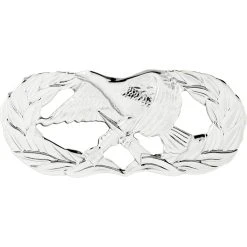 Buy 🔥 Other Brands Air Force Basic Maintenance & Munitions Badge, Mirror Finish, Regular Size 😀