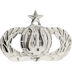 Coupon ✔️ Ira Green, Inc Air Force Badge Band Senior Brite Midsize Pin-on 👏