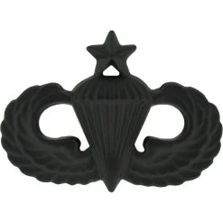 Best reviews of ⌛ Ira Green, Inc Air Force Senior Parachutist Badge Sta-Black 😀